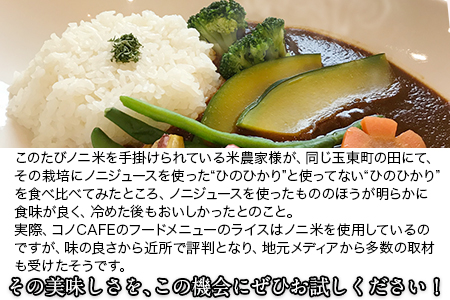令和6年産  ひのひかり(ノニ米) 10kg(5kg×2袋)コノCAFE《30日以内に出荷予定(土日祝除く)》｜人気米 熊本県産米 お米 生活応援米 st-p st-p
