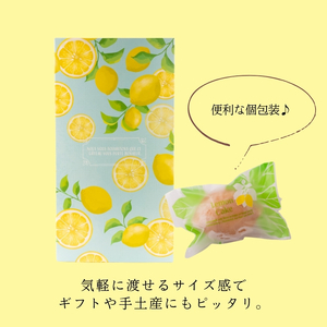 【5個】【冷蔵配送】レモンケーキ 爽やかな風味 洋菓子 個包装 レモンケーキ