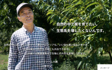 訳あり 栗 1kg 生むき栗 11月発送 ［BSAR013］