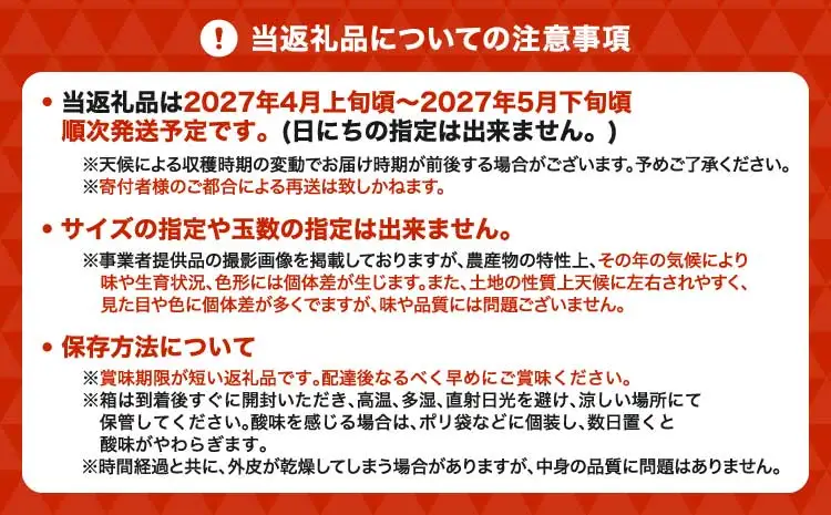 ジューシーオレンジ 約10kg（20玉前後）　【2027年4月上旬-2027年5月下旬発送予定】