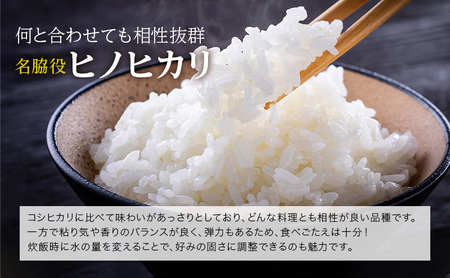 ヒノヒカリ 令和6年産 白米 単一原料米 ヒノヒカリ【3kg×2袋】【予約受付】