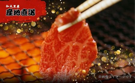 【TBS 「熱狂マニアさん！」で紹介】 経産牛焼肉用バラエティーミックス５００ｇ経産牛 焼き肉 バーベキュー 鉄板焼き 牛肉 黒毛和牛 セット 冷凍