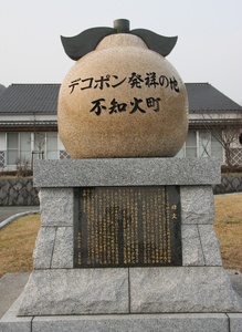 先行予約 不知火 10kg 2027年2月上旬-4月下旬発送予定 しらぬい ひかる農園