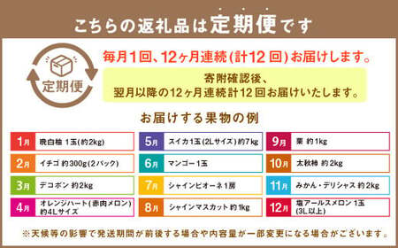 【12か月連続定期便】熊本の旬のフルーツお届け便 （Bコース） フルーツ 果物 くだもの 晩白柚 苺 デコポン みかん 柑橘 蜜柑  メロン すいか  シャインマスカット 葡萄 ぶどう マンゴー 太秋柿  柿 定期便 
