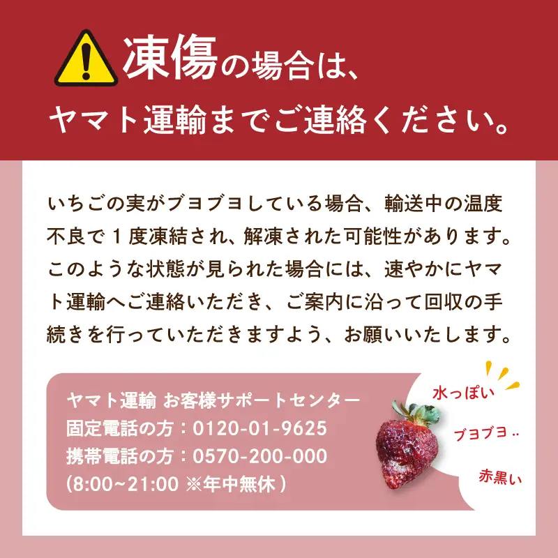 【2月以降発送】いちご 1.1kg | いちご DNK