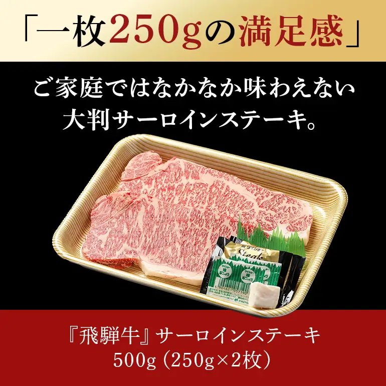 牛肉 ステーキ 飛騨牛 500g 250g×2 選べる 配達日