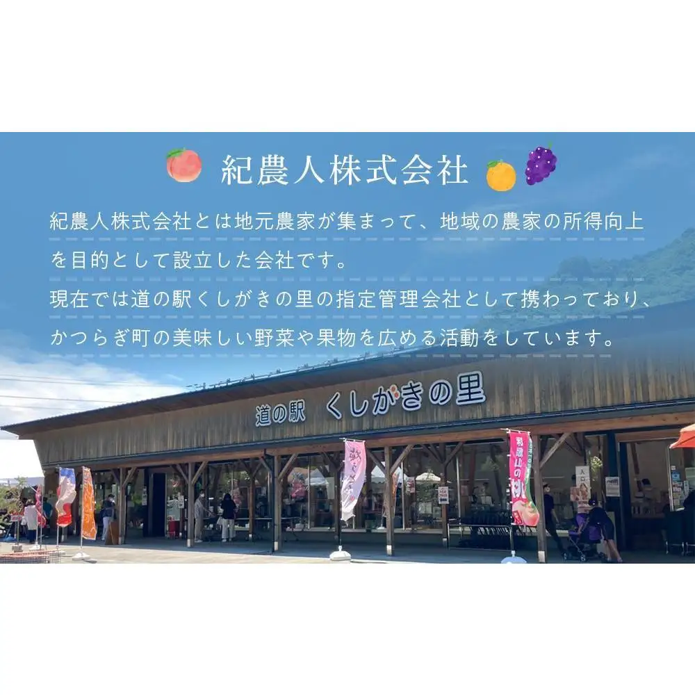 先行販売！［モモ］ 白鳳　桃の王様！食べきりやすい３個入り［2027年6月下旬頃より順次発送］［秀品］こだわり農家厳選 ［KG17］