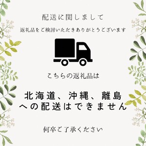 カリフォルニア大実ザクロ（拓榴）2年生 苗木 ＜すだ農園＞