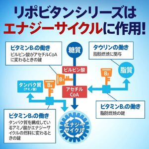 【リポビタンD】 100ml 50本 栄養ドリンク リポビタンD