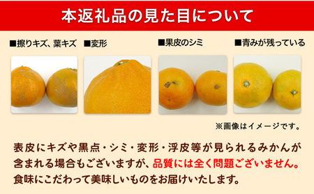 どの坂果樹園の訳ありみかん 食べ比べ定期便 2回