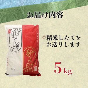 新之助 5kg 新潟 米 新之助 新之助精米 新之助白米 新潟産新之助 新之助 watasho007_1