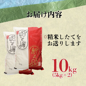 新之助 10kg 5kg 2袋 新潟 米 新之助10kg 新之助精米 新之助白米 新潟産新之助 watasho008_1
