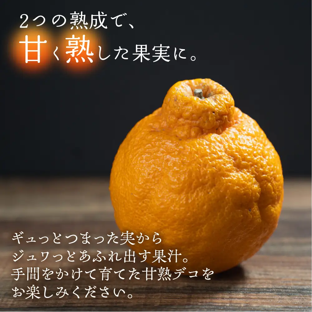 完熟しらぬい 4kg 甘熟デコ  みかん デコポン みかん