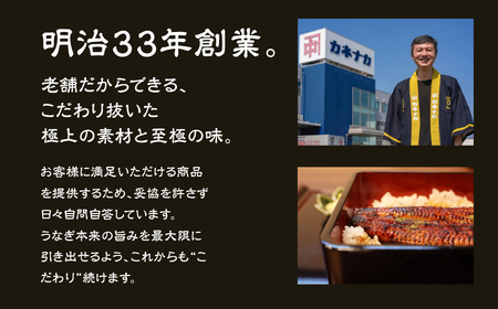 国産若うなぎ 3尾 蒲焼 うなぎ