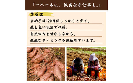  種子島 産 オーガニック (有機) 種子島安納いも (誠農園) ３kg　NFN599 【250pt】