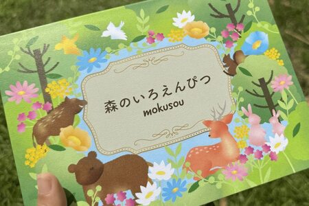 森のいろえんぴつ 10色（色鉛筆 色えんぴつ