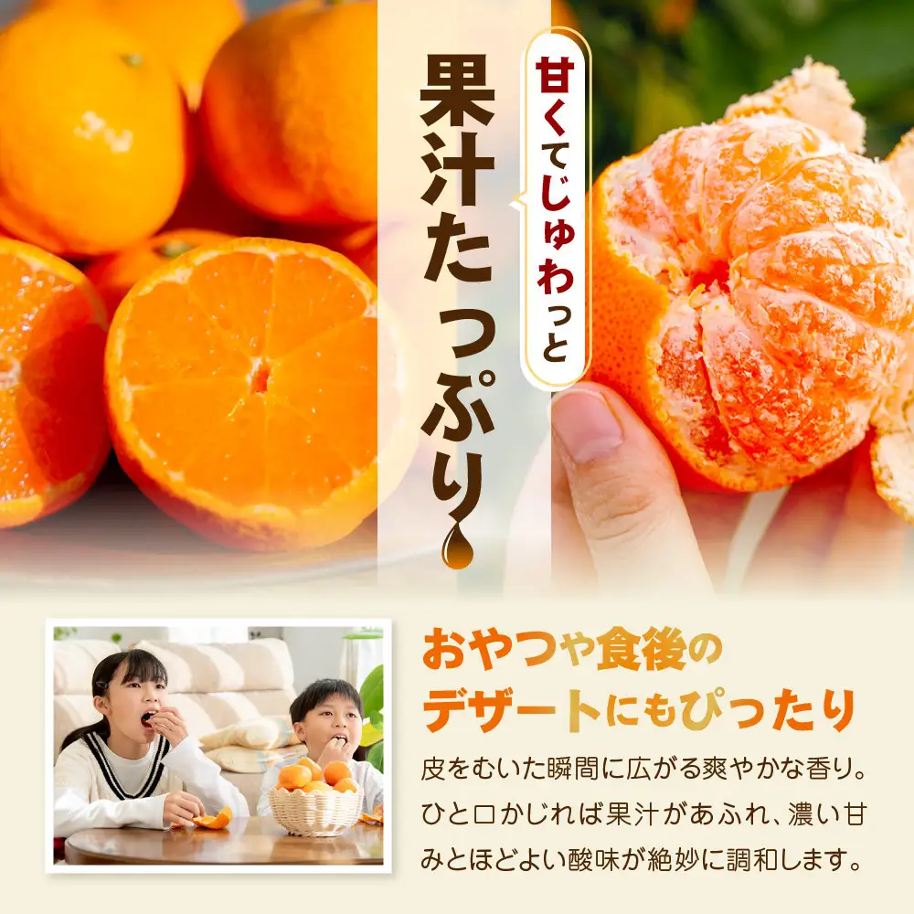 【訳あり】和歌山みかん約11kg+補償分約1kg サイズ混合 11月より順次発送 訳ありみかん 【red2】