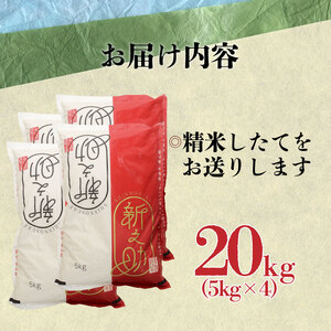 新之助 20kg 5kg 4袋 新潟 米 新之助20kg 新之助精米 新之助白米 新潟産新之助 watasho009_1