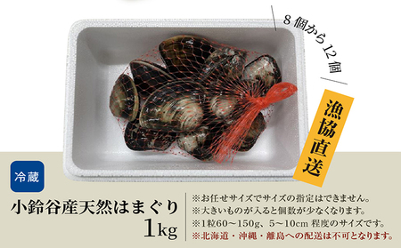 【 奇跡のはまぐり 】小鈴谷産天然はまぐり【 1kg 】 国産 天然 はまぐり 貝 漁協直送 魚貝類 肉厚 日本産 旨味 お祝い お吸い物 大きい 手掘り 潮干狩り 冷蔵便 小鈴谷天然蛤 海の幸 縁起物