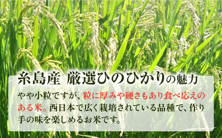 【全12回定期便】いとし米　厳選ひのひかり　2kg(糸島産)糸島市/三島商店 [AIM070]
