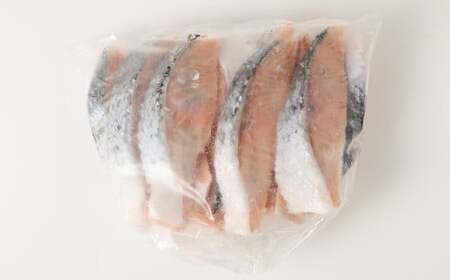 【 訳あり 】 骨取 サーモン（メラニンサーモン） 約3kg 魚 魚貝類 魚介 さかな サカナ お魚 アトランティックサーモン さけ 鮭 冷凍