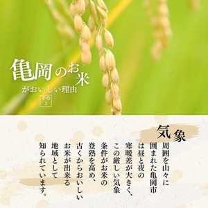 米 令和7年産キヌヒカリ 定期便 5kg×6回 計30kg