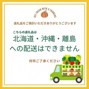 【4回定期便】有機野菜詰め合わせ 野菜