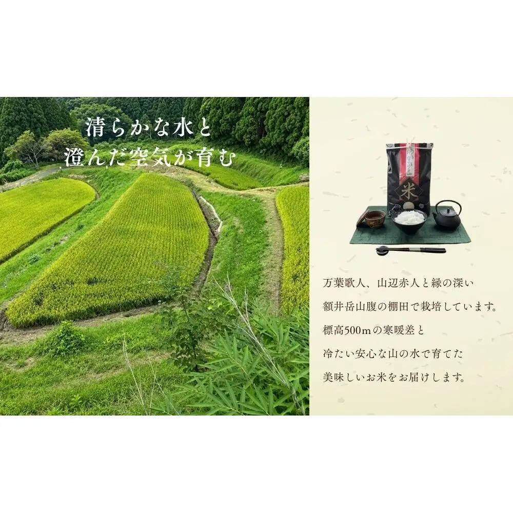 【定期便3回】特別栽培米 にじのきらめき 白米 5kg ／ あかひと農園 米 白米 精米 ご飯 奈良県 宇陀市 あかひと米 ふるさと納税