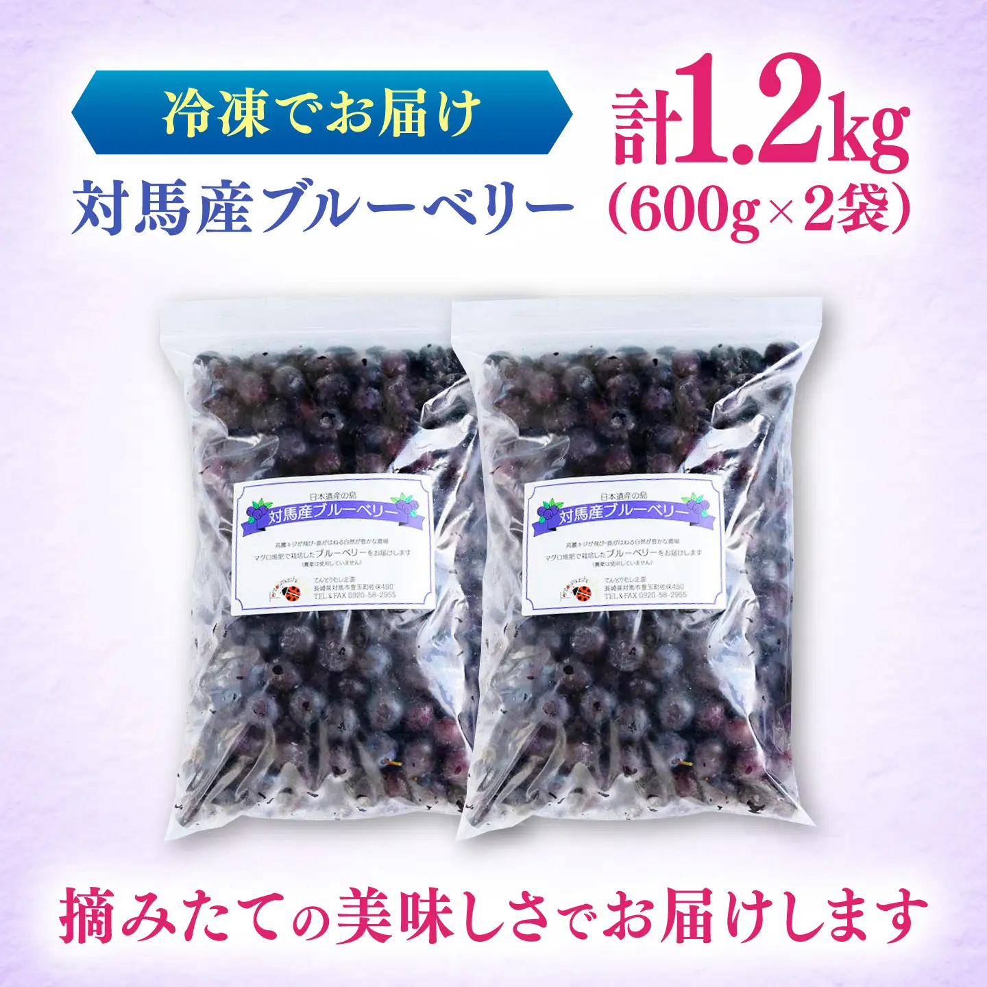 【先行予約】大容量 対馬産 ブルーベリー 1.2kg（ 冷凍 ） [WBG001] 果物 フルーツ ベリー 冷凍 ブルーベリー旬 ブルーベリー