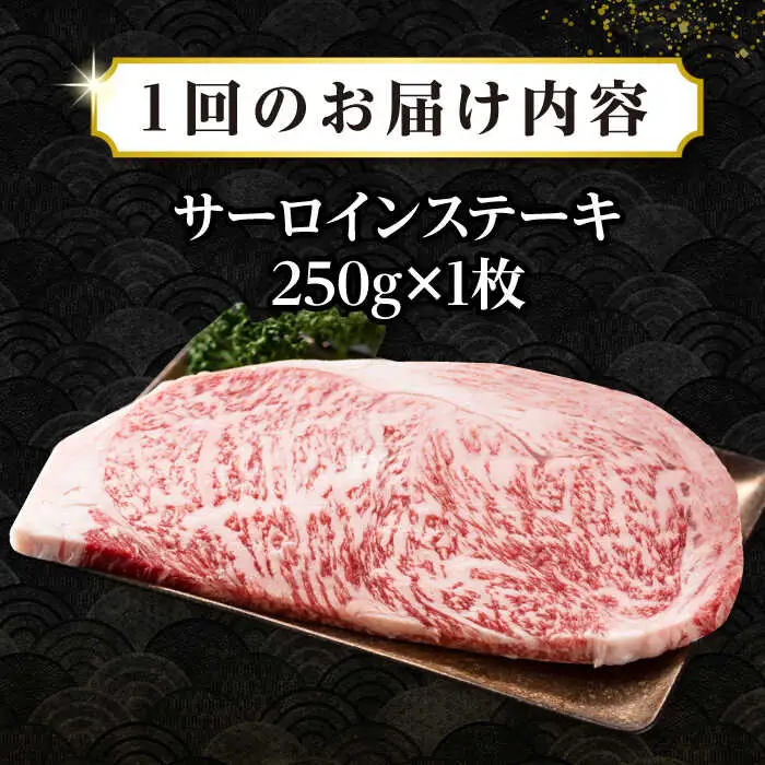 【全2回定期便】【A4～A5ランク】長崎和牛 サーロインステーキ 250g（250g×1枚）《壱岐市》【株式会社MEAT PLUS】 肉 牛肉 黒毛和牛 サーロイン ステーキ ご褒美 ギフト 贈答用 ご褒美 冷凍配送 A4 A5 [JGH123]