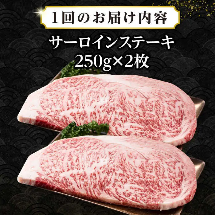 【全3回定期便】【A4～A5ランク】長崎和牛 サーロインステーキ 500g（250g×2枚）《壱岐市》【株式会社MEAT PLUS】 肉 牛肉 黒毛和牛 サーロイン ステーキ ご褒美 ギフト 贈答用 ご褒美 冷凍配送 A4 A5 [JGH128]
