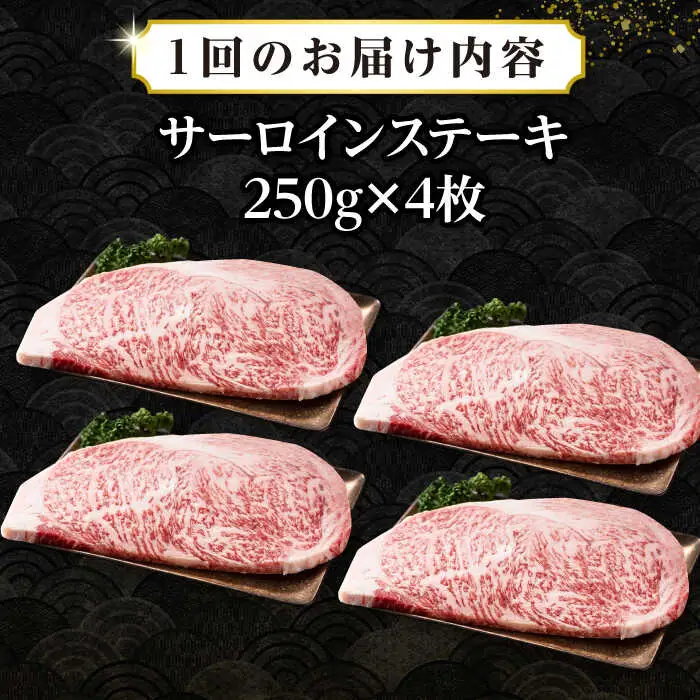 【全2回定期便】【A4～A5ランク】長崎和牛 サーロインステーキ 1kg（250g×4枚）《壱岐市》【株式会社MEAT PLUS】 肉 牛肉 黒毛和牛 サーロイン ステーキ ご褒美 ギフト 贈答用 ご褒美 冷凍配送 A4 A5 [JGH131]