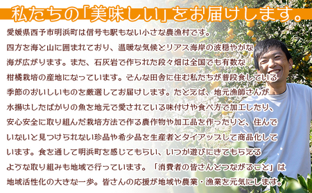 ＜《6月発送》旬をお届け！河内晩柑 約7kg＞ みかん ミカン 蜜柑 果物 柑橘類 果実 オレンジ フルーツ かわちばんかん カワチバンカン 15～20個前後 特産品 国産 明浜産 二ノ宮商事 愛媛県 西予市【常温】『2026年6月上旬から順次出荷予定』ANS0022
