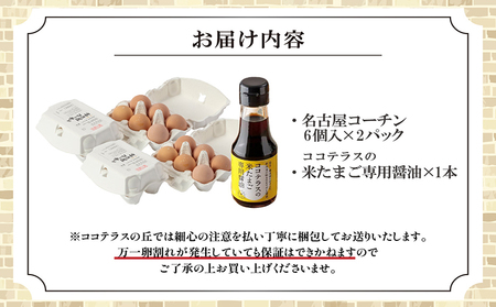 【高級】名古屋コーチンセット（2パックと醤油）【JGAP認証】 卵 卵かけご飯 TKG 高級卵かけご飯 朝食 朝ごはん 贈り物 ギフト たまご醤油 卵かけご飯用醤油 手土産 プレゼント 卵かけご飯セット 絶品 グルメ お取り寄せ 愛知県 常滑市