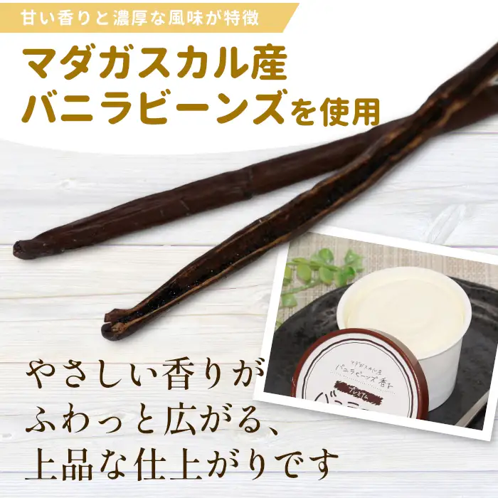 食べ比べ！生ソフトクリームアイス＆バニラアイスクリーム 16個セット ミルク 牛乳 バニラ アイス ソフトクリーム 根羽村 ネバーランド 12000円