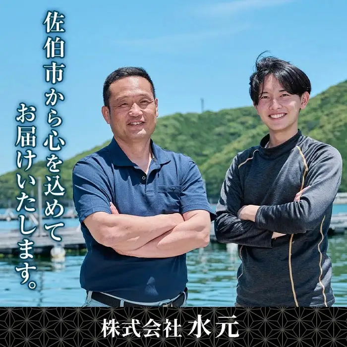 ＜先行予約受付中！2026年11月以降順次発送予定＞大分県産 美人鰤 刺身セット (計400g・刺身100g×4皿、醤油ダレ30ml×4個) 鰤 ブリ ぶり 鮮魚 冷凍 養殖 国産 大分県 佐伯市【GO010】【水元】