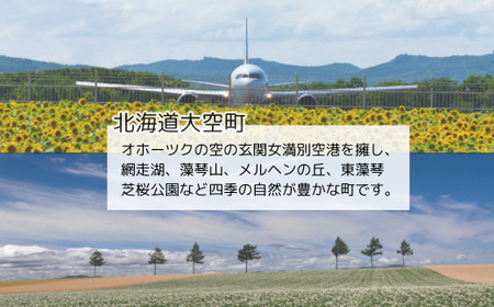 【先行予約】玉ねぎ Lサイズ 20kg 大空町産（2026年11月以降順次発送） OSR009 | 玉ねぎ