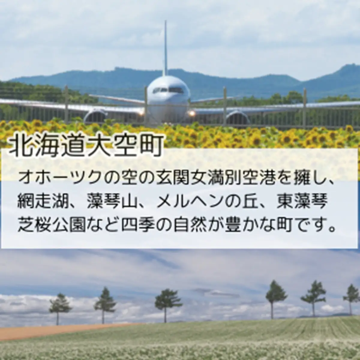 【先行予約】じゃがいも（ゆめいころ） Lサイズ 10kg 大空町産（2026年10月以降順次発送）OSR011
