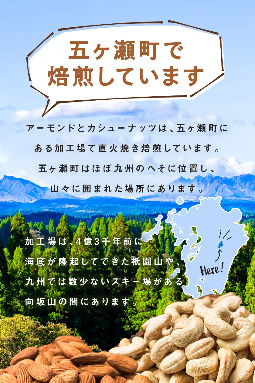 南国焙煎 フルーティー ナッツ 【 低カロリー ＆ 低脂質 】３.5kg