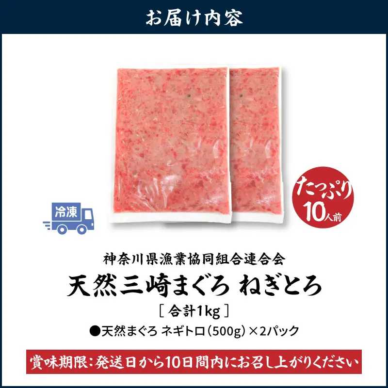＜選べる配送月＞【 神奈川県漁連 】 ＜ お徳用 ＞ 天然 まぐろ ねぎとろ 1kg（ 500g × 2P ） M077-011-02 冷凍 マグロ