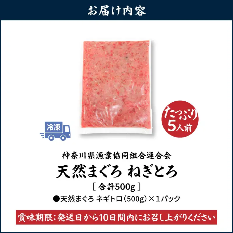 ＜選べる配送月＞【 神奈川県 漁連 】 ＜ お徳用 ＞  天然 まぐろ ねぎとろ 500g M077-011-01 冷凍 マグロ