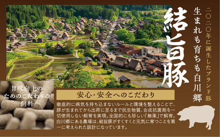 白川郷 結旨豚 串カツ用 40本 肉 お肉 豚肉 ぶた肉 国産肉 国産豚 抗生物質 合成抗菌剤不使用 料理 おすすめ 手軽 だるまミート 岐阜県 白川村 12000円  [S819]
