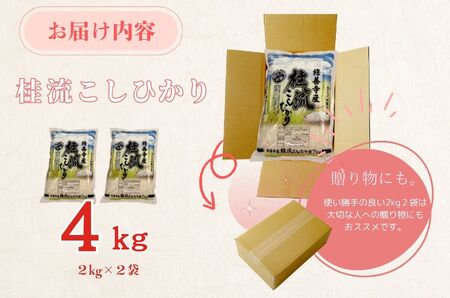 米 桂流 こしひかり 米 （ 数量限定 100 セット）米 特別栽培米 米 ４㎏ （ 2kg × 2袋 ） 009-005