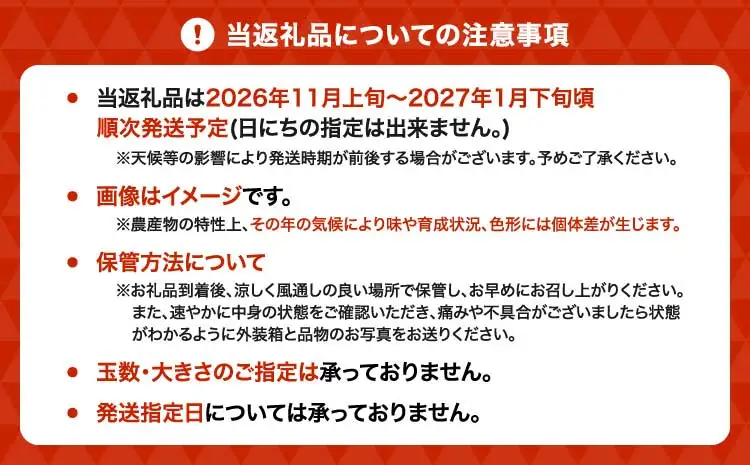 先行予約 みかん 愛紅小町 あいかちゃん 約3kg 25～35玉 吉田レモニー  2026年11月上旬から2027年1月下旬発送予定