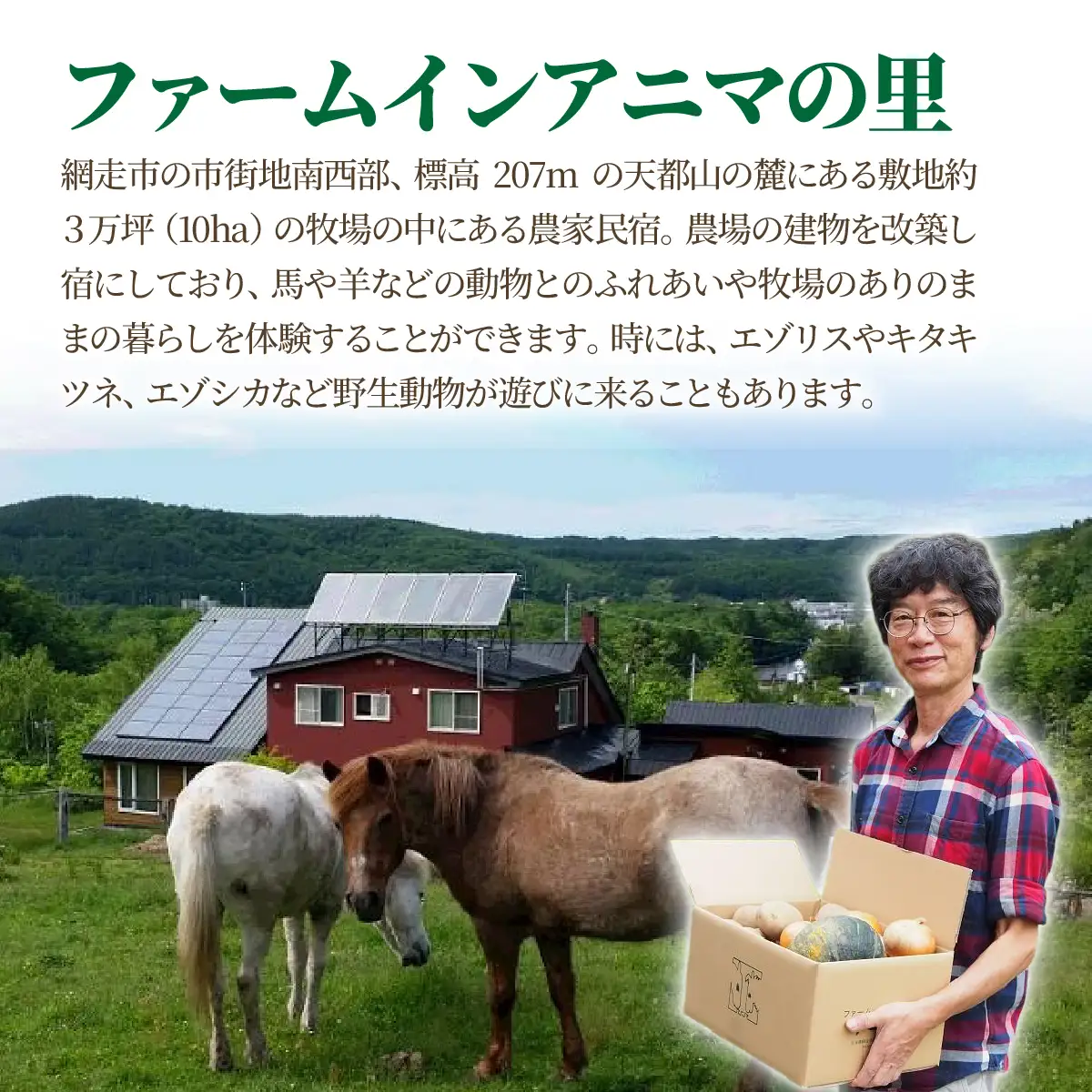 じゃがいも（きたあかり）10kg（網走産） ABP002 | じゃがいも じゃがいも じゃがいも じゃがいも じゃがいも じゃがいも じゃがいも じゃがいも じゃがいも じゃがいも じゃがいも じゃがいも 