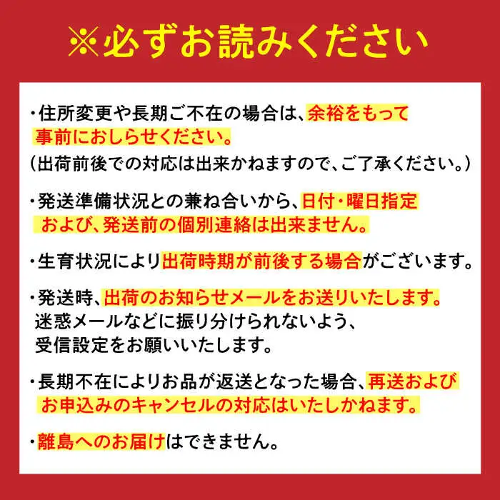 【2027年2月以降順次発送】いちごさん 約1kg（240g×4パック） / 佐賀県 / さが風土館季楽 [41AABE102]