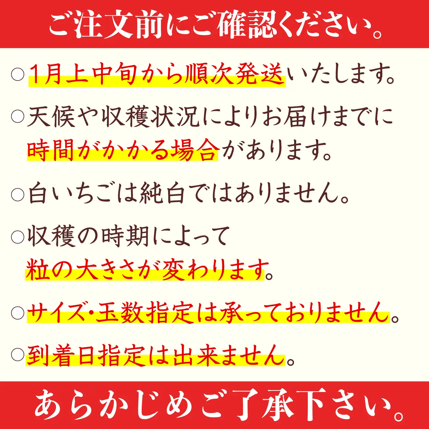 【2027年1月以降順次発送】白い宝石（自宅用）約520g（約130g×4パック） / 佐賀県 / 手島農園 [41ABAB003]