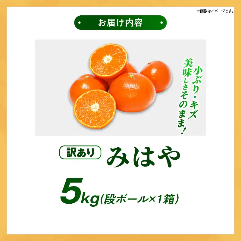【先行受付】【訳あり】 みはや 5kg 果物 フルーツ くだもの 柑橘 みかん 蜜柑 新品種 おすすめ ワケアリ 不揃い 傷 Ｂ級品 プレゼント おすすめ おすそ分け 家庭用 おやつ スイーツ デザート 宮崎県 綾町 送料無料_A0114-2501