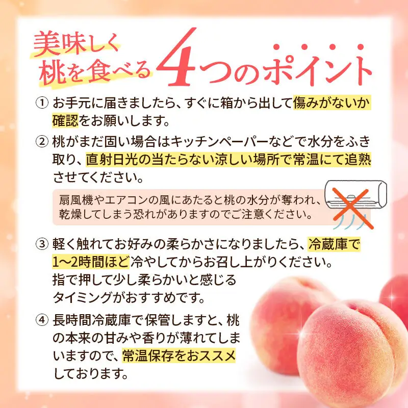 《先行受付！8月上旬より順次発送》秋田県横手市産 季節の桃 詰め合わせ 約3kg （13玉～20玉）