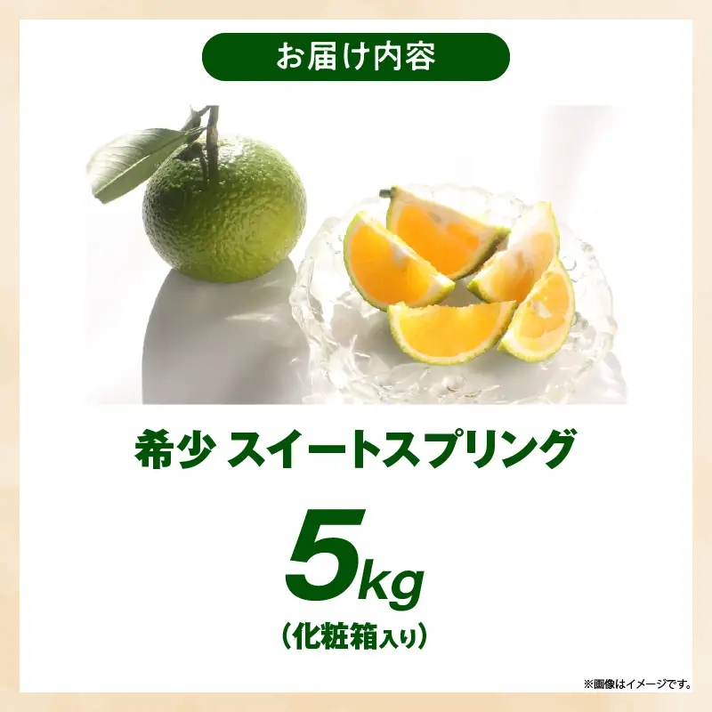 【先行予約】希少柑橘「スイートスプリング」5kg [化粧箱] 果物 フルーツ くだもの 柑橘 オレンジ みかんジュース おすすめ ギフト 贈り物 贈答 プレゼント おすそ分け おやつ スイーツ デザート 常温 産地直送 宮崎県 綾町 送料無料【JA綾町】_A0114-2581